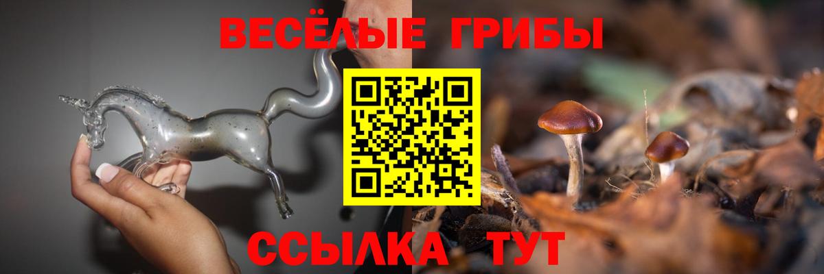 Псилоцибиновые грибы Cubensis  Псилоцибиновые грибы ЛСД  Краснознаменск  Вход с VPN 